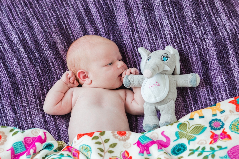 baby girl newborn pictures taken in fuquay varina nc by Traci Huffman Photography