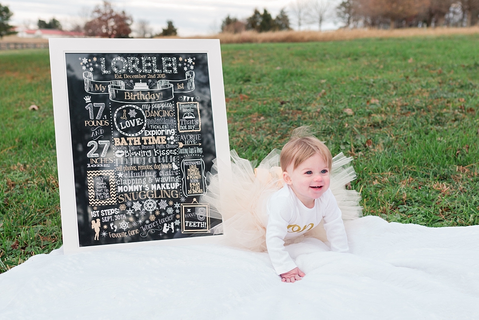 First birthday photos taken in Raleigh NC by lifestyle children photographer - Traci Huffman Photography - Lorelai_0015.jpg