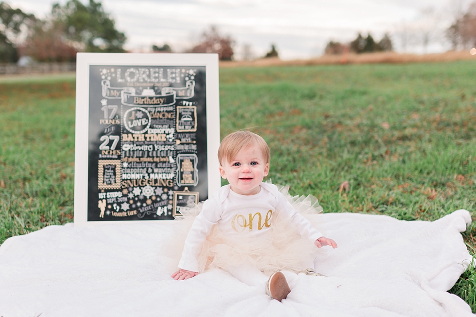 First birthday photos taken in Raleigh NC by lifestyle children photographer - Traci Huffman Photography - Lorelai_0017.jpg