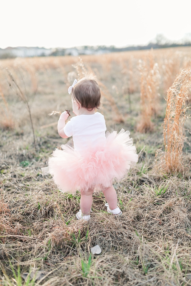 Children and First birthday photos by Holly Springs children and first birthday photographer - Traci Huffman Photography - Birdie Ray_0010.jpg