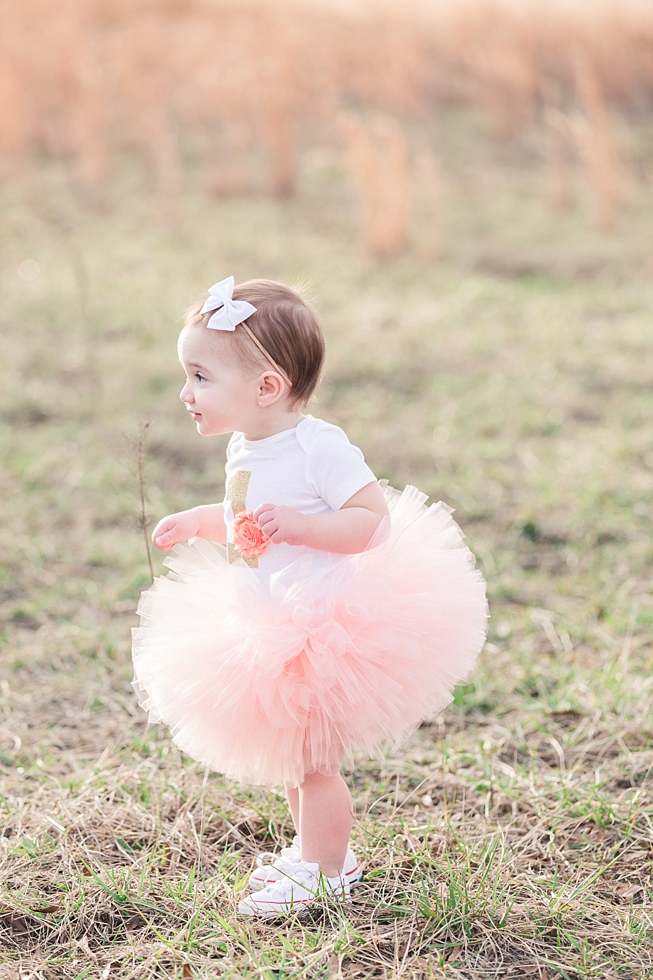 Children and First birthday photos by Holly Springs children and first birthday photographer - Traci Huffman Photography - Birdie Ray_0018.jpg