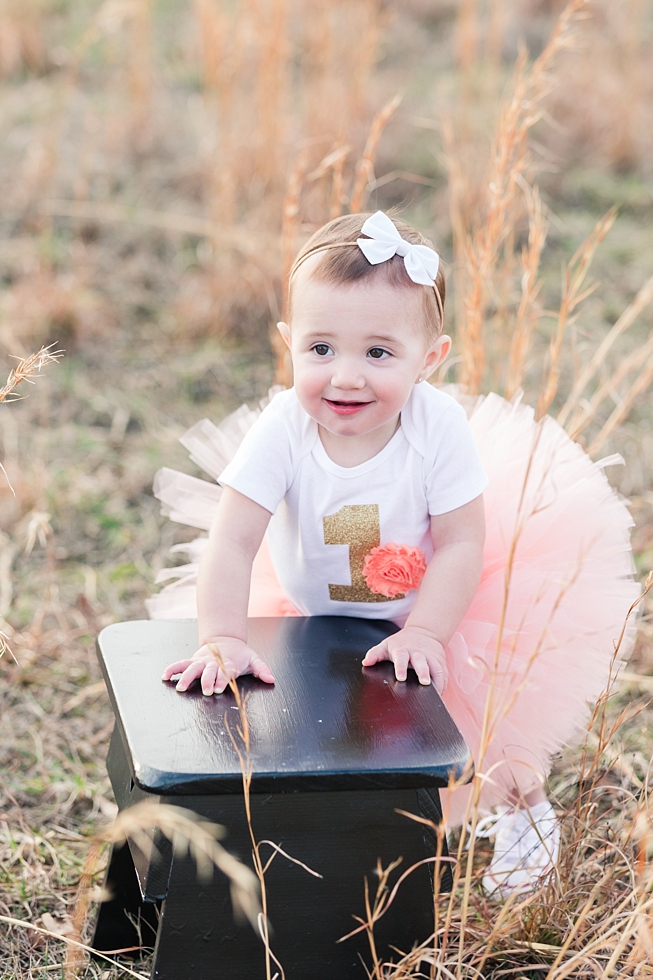 Children and First birthday photos by Holly Springs children and first birthday photographer - Traci Huffman Photography - Birdie Ray_0020.jpg