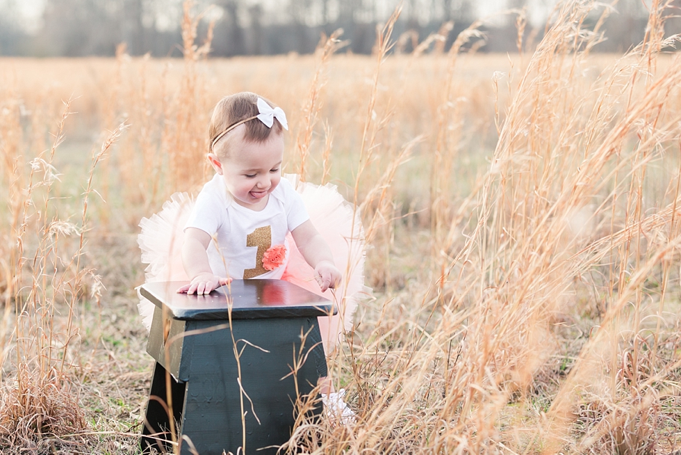 Children and First birthday photos by Holly Springs children and first birthday photographer - Traci Huffman Photography - Birdie Ray_0021.jpg