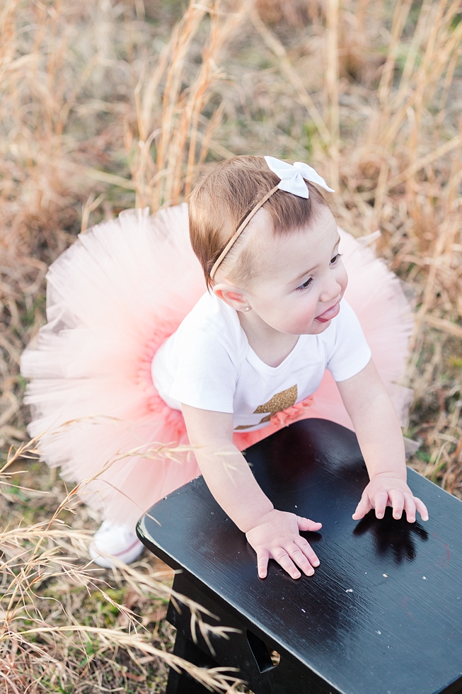 Children and First birthday photos by Holly Springs children and first birthday photographer - Traci Huffman Photography - Birdie Ray_0022.jpg