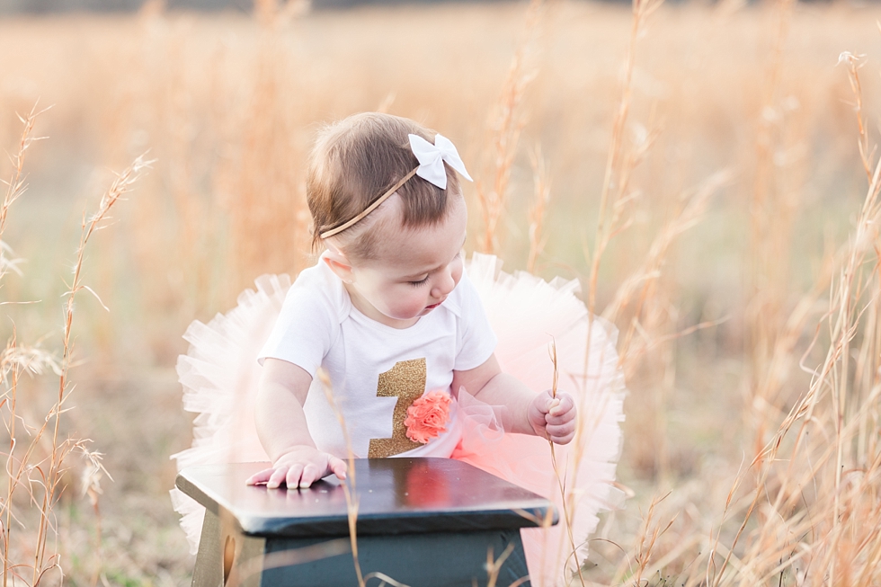 Children and First birthday photos by Holly Springs children and first birthday photographer - Traci Huffman Photography - Birdie Ray_0040.jpg