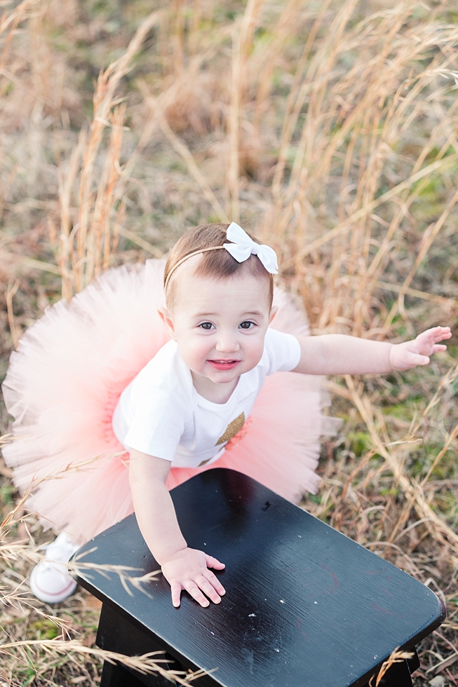 Children and First birthday photos by Holly Springs children and first birthday photographer - Traci Huffman Photography - Birdie Ray_0041.jpg