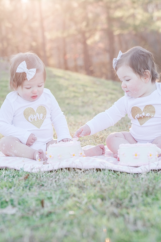 family and first birthday photos by Raleigh, NC family and first birthday photographer - Traci Huffman Photography - Strickland_0012.jpg