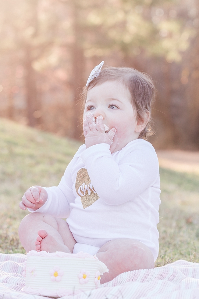 family and first birthday photos by Raleigh, NC family and first birthday photographer - Traci Huffman Photography - Strickland_0018.jpg