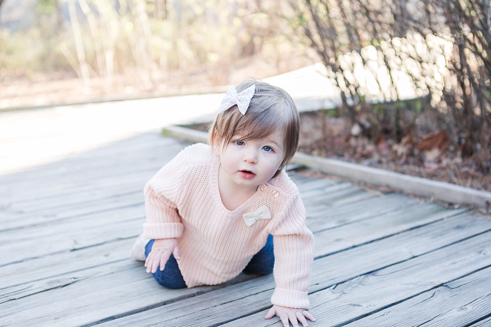 family and first birthday photos by Raleigh, NC family and first birthday photographer - Traci Huffman Photography - Strickland_0034.jpg