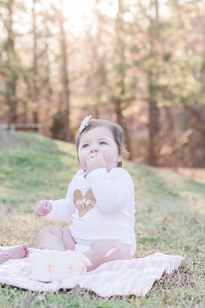 family and first birthday photos by Raleigh, NC family and first birthday photographer - Traci Huffman Photography - Strickland_0037.jpg