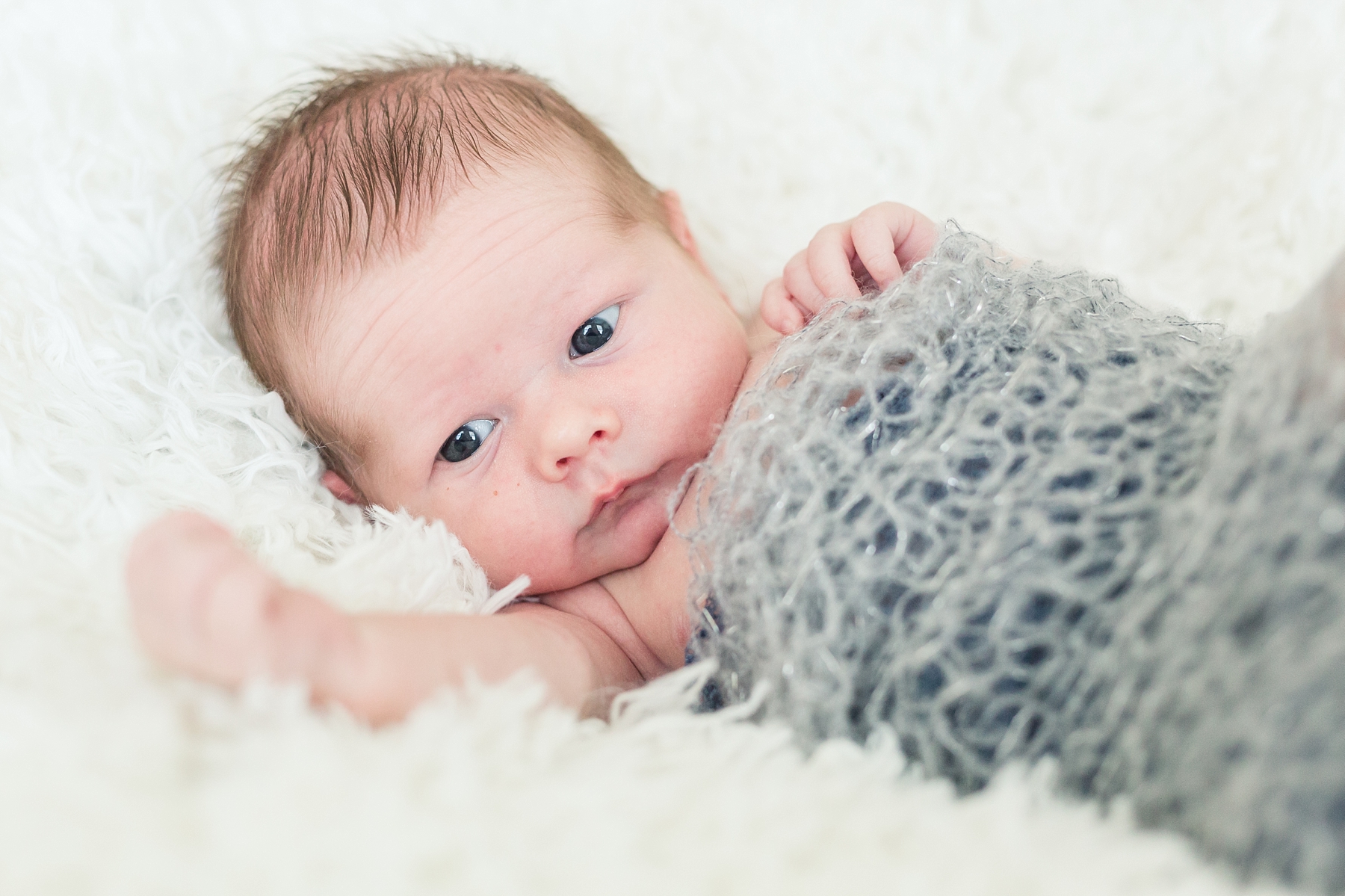 Fuquay Varina, NC Newborn Photographer by Traci Huffman Photography | Levi