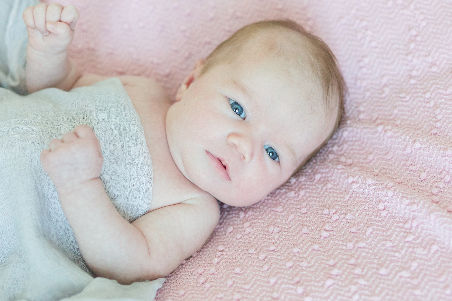 newborn photographer in Raleigh, NC | Traci Huffman Photography | Kinsley_0014.jpg