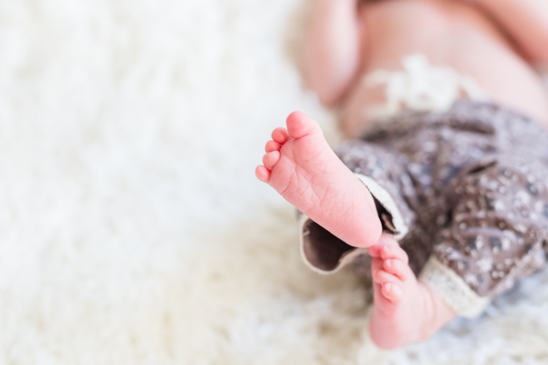 Raleigh, NC newborn photographer | Traci Huffman Photography _ Sneak Peeks