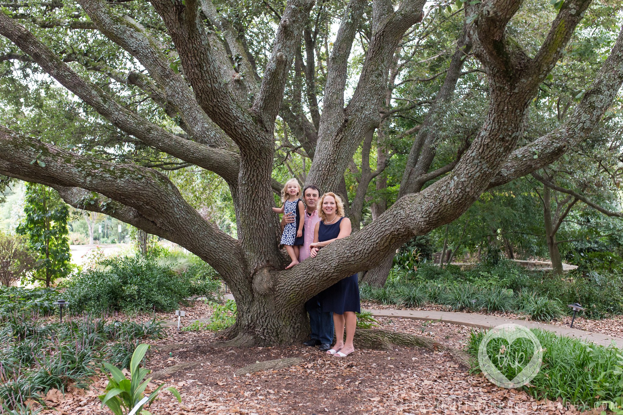 family photography session in Raleigh NC with the Kjellberg family