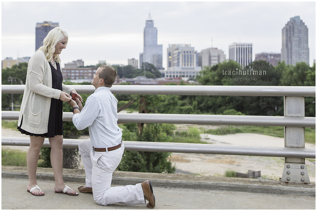 Proposal photographer downtown raleigh, nc _ Brown