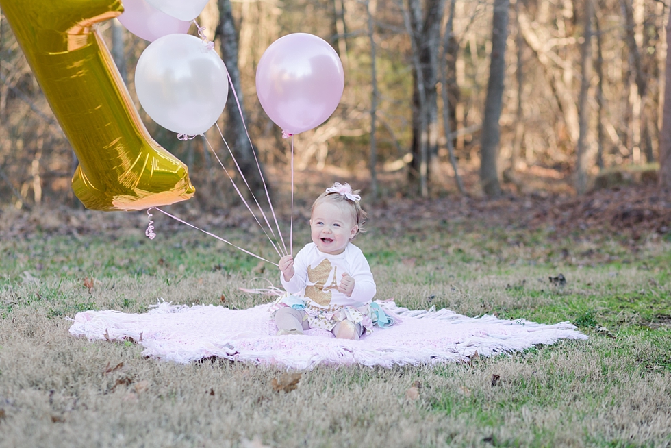 First birthday photographer in Raleigh NC Traci Huffman Photography