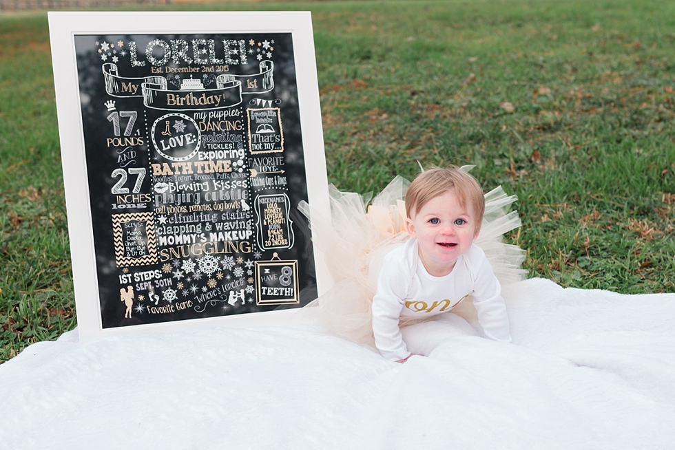 First birthday photos taken in Raleigh NC by lifestyle children photographer - Traci Huffman Photography - Lorelai_0003.jpg