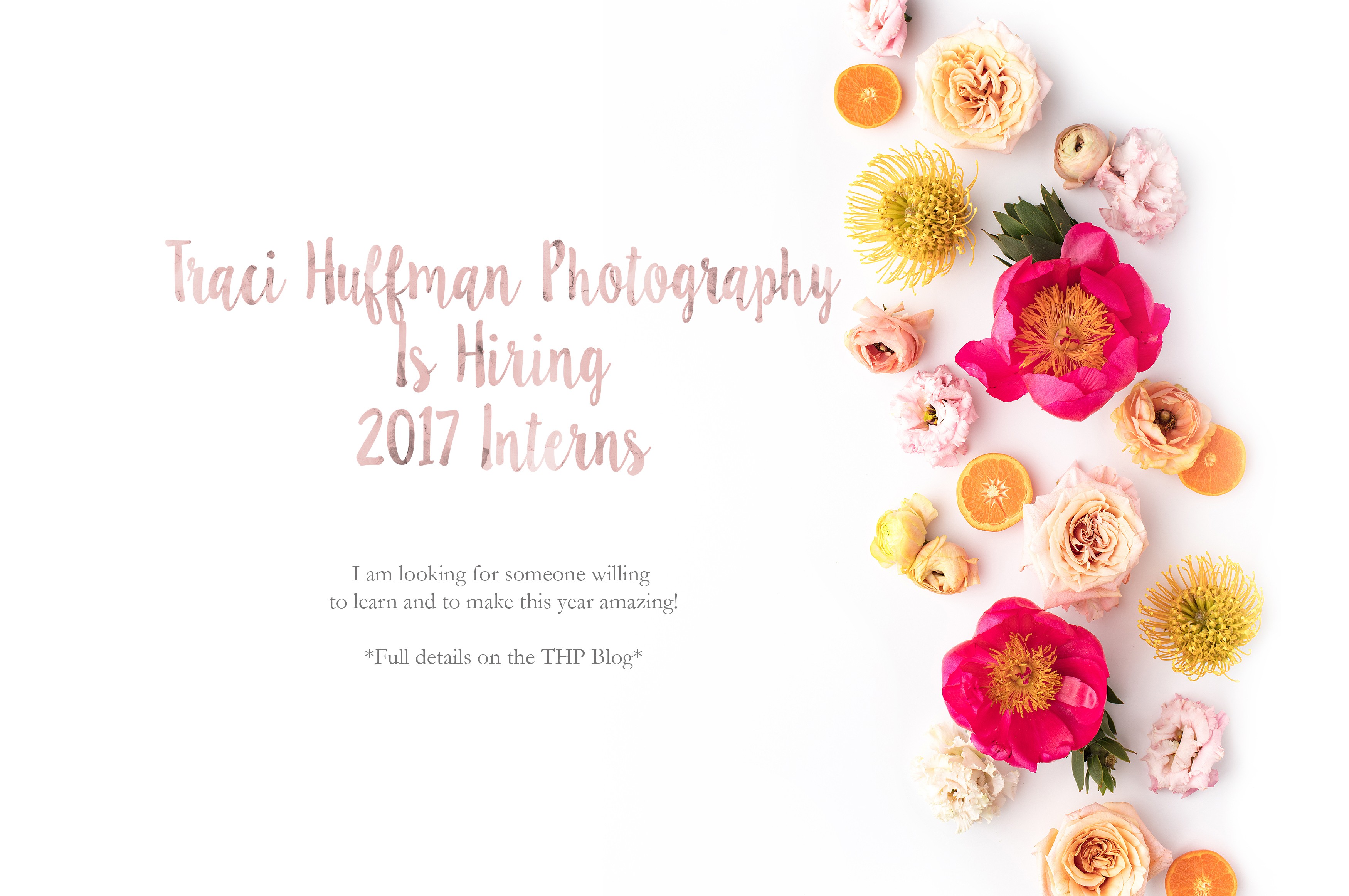 Photographer Internship with Traci Huffman Photography in Holly Springs, NC